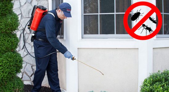 Salıpazarı Tahtakurusu İlaçlama böcek ilaçlama ve haşere kontrolü — ilaclama-tr.com